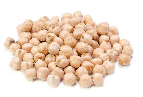 raw material of chickpea protein
