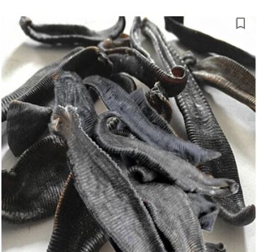 Raw material of Leech extract powder