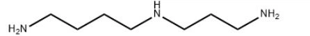 The structure of Spermidine